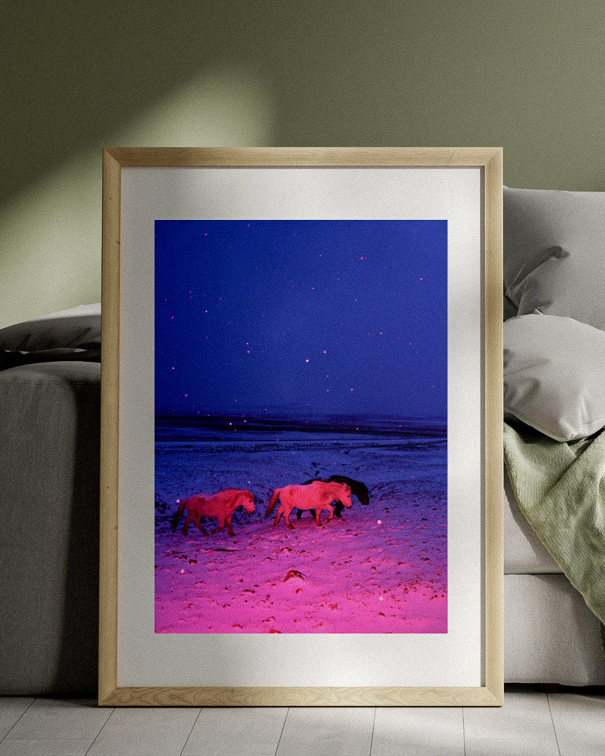 "Three Horses in a Pink Storm"