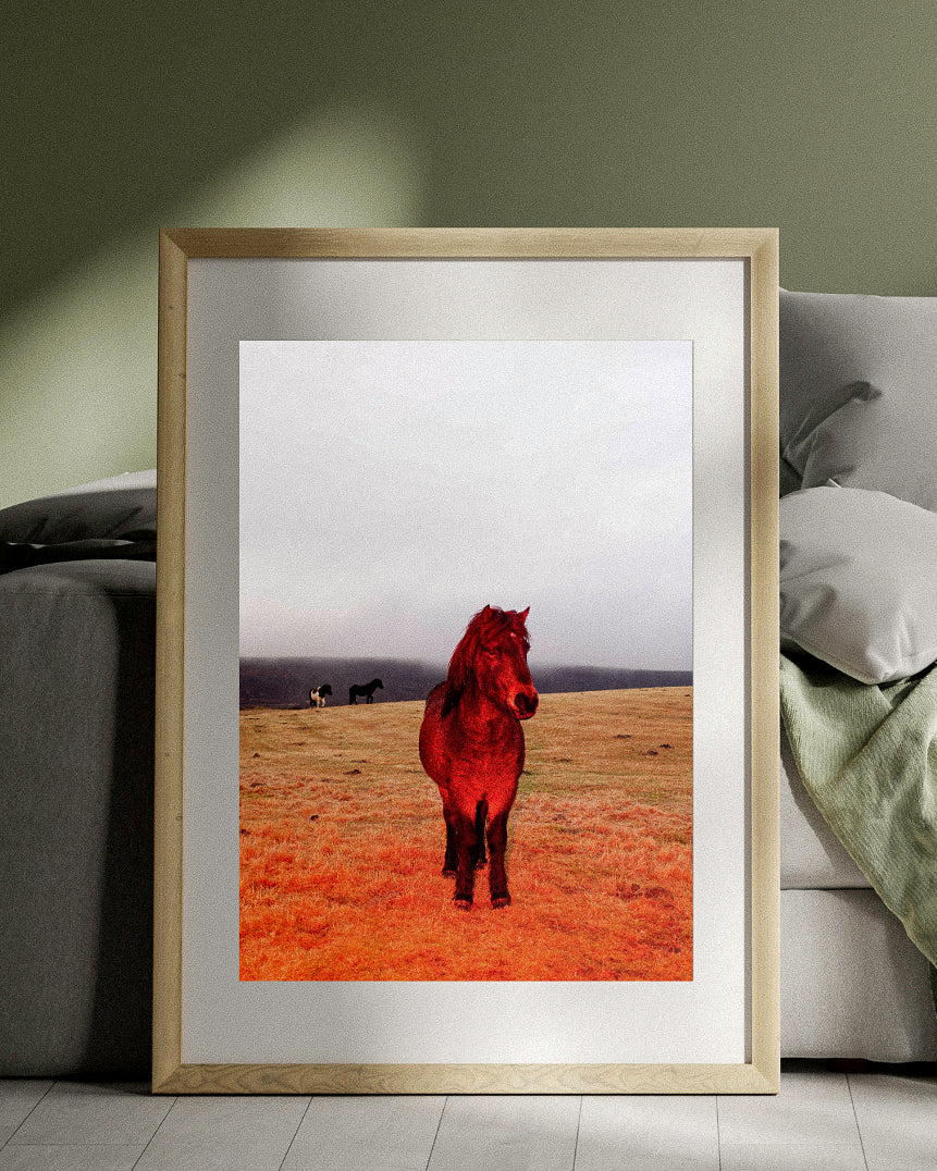 "Red Horses in the Fog"