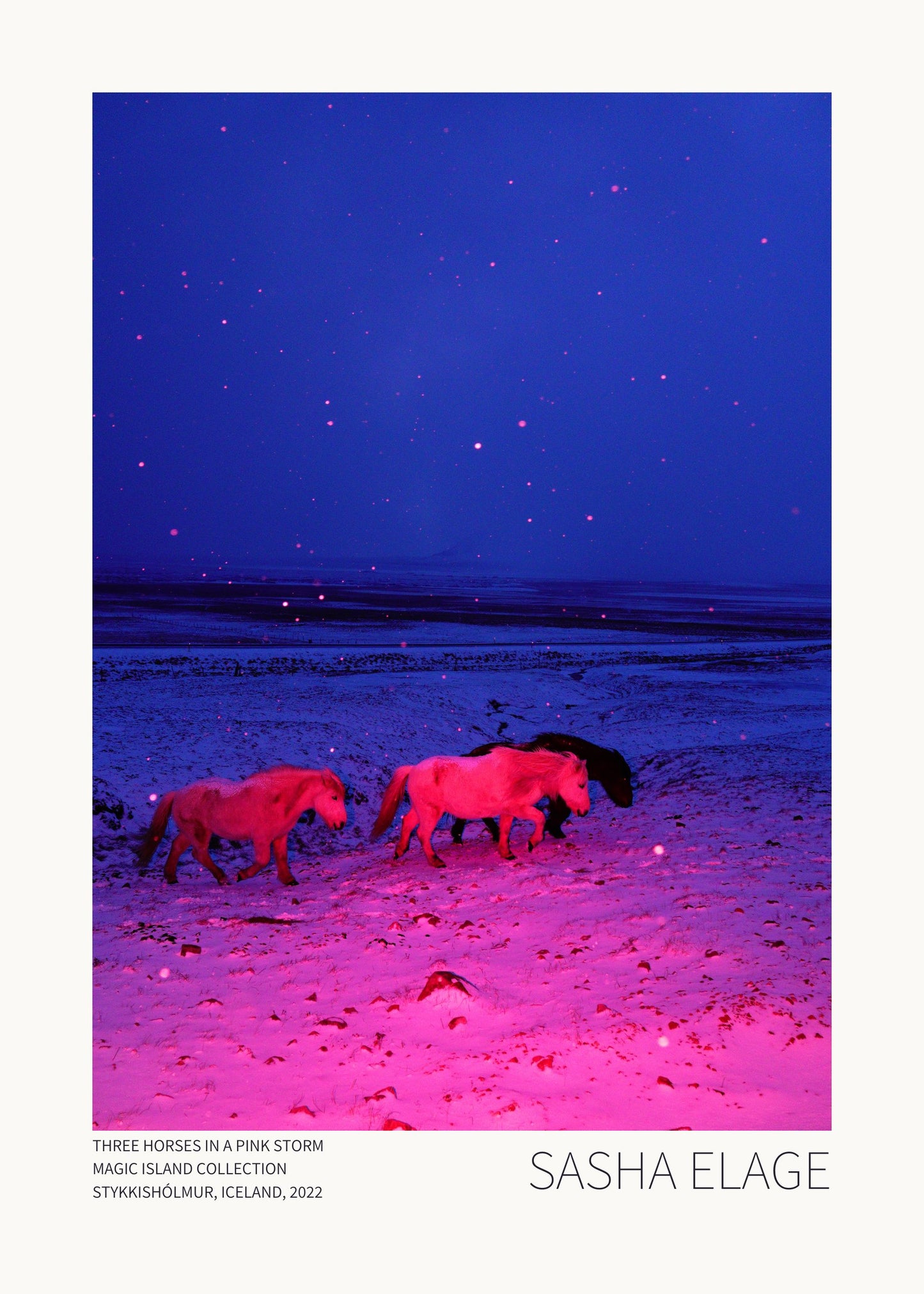 "Three Horses in a Pink Storm"