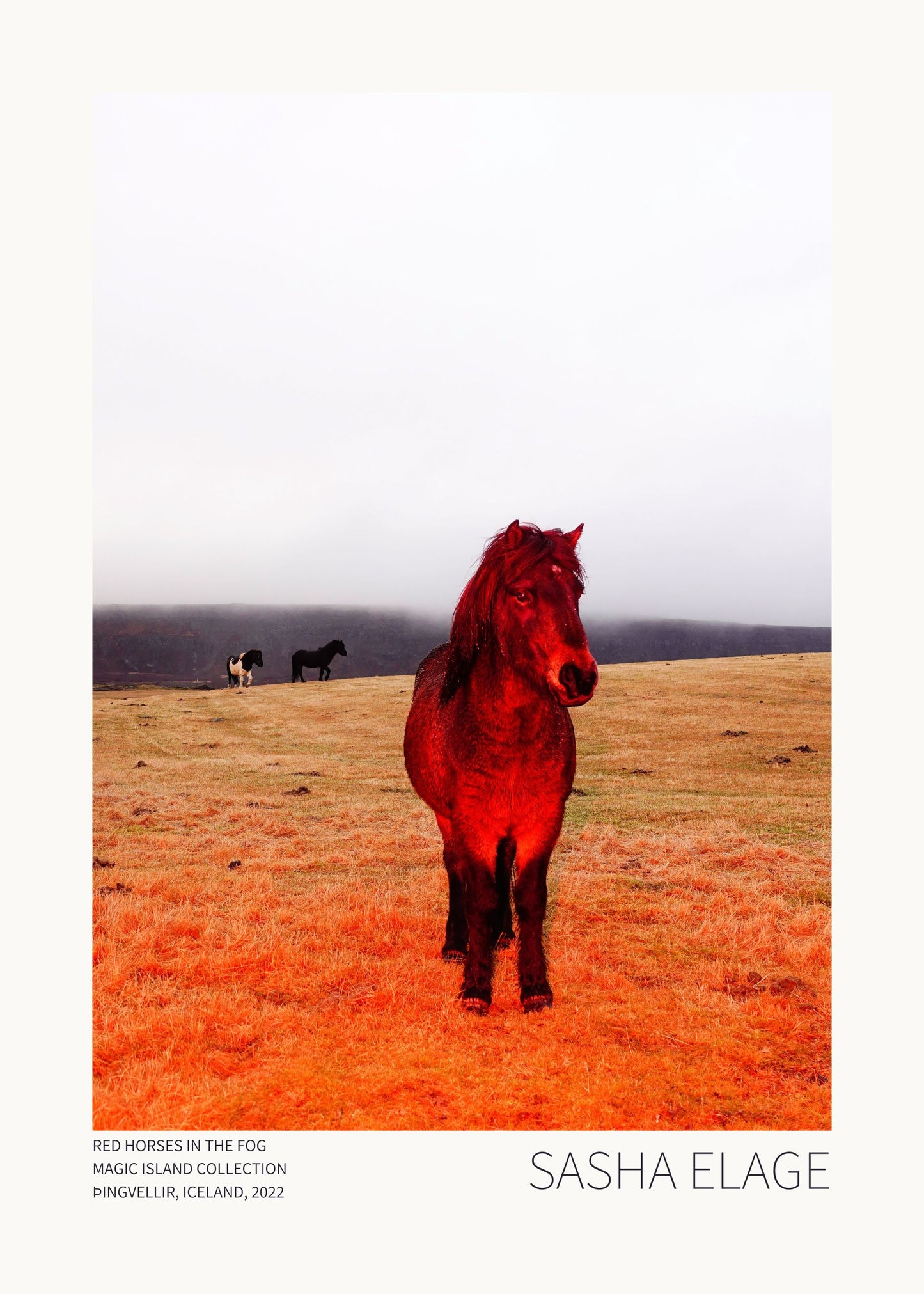 "Red Horses in the Fog"