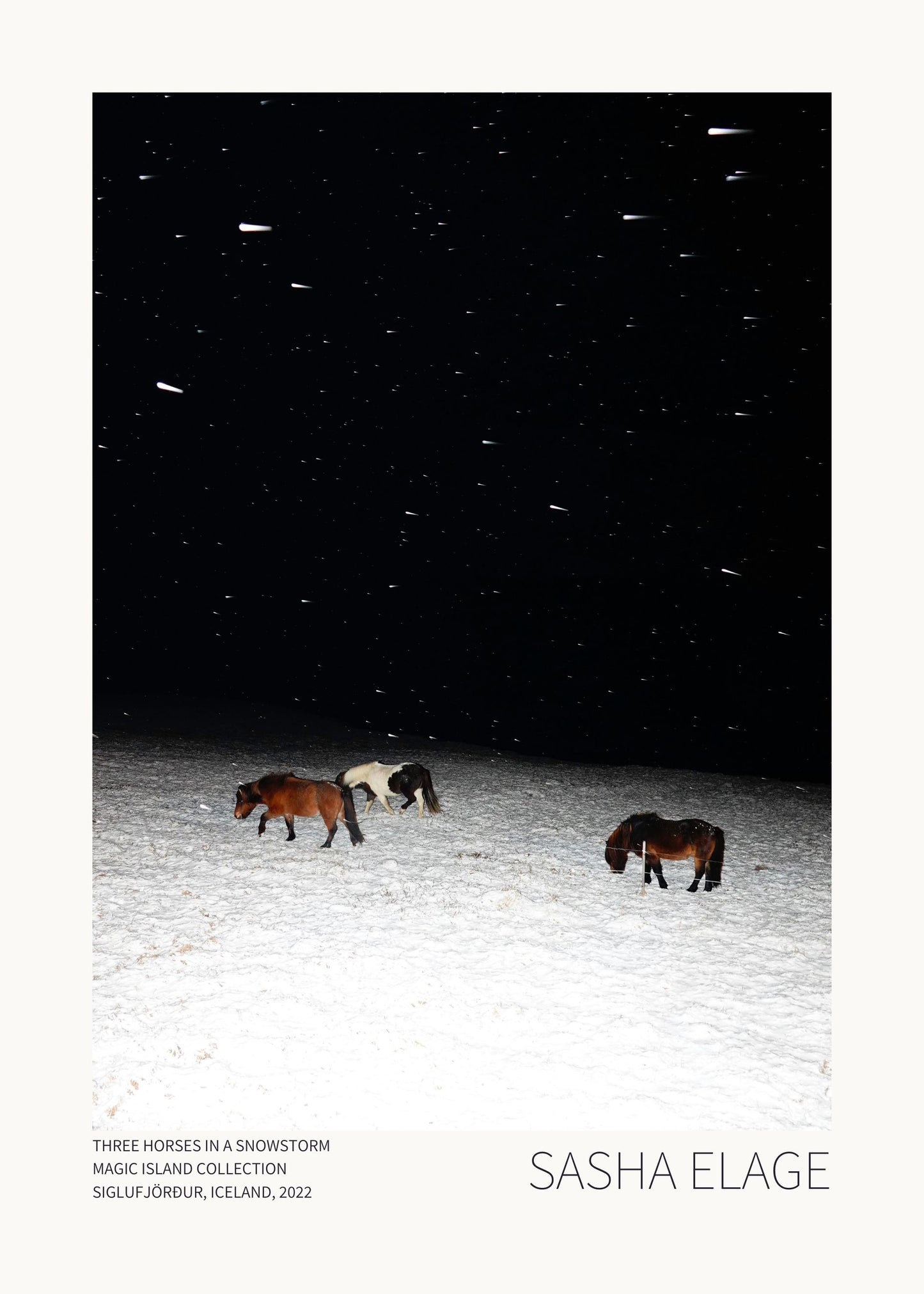 "Three Horses in a Snowstorm"