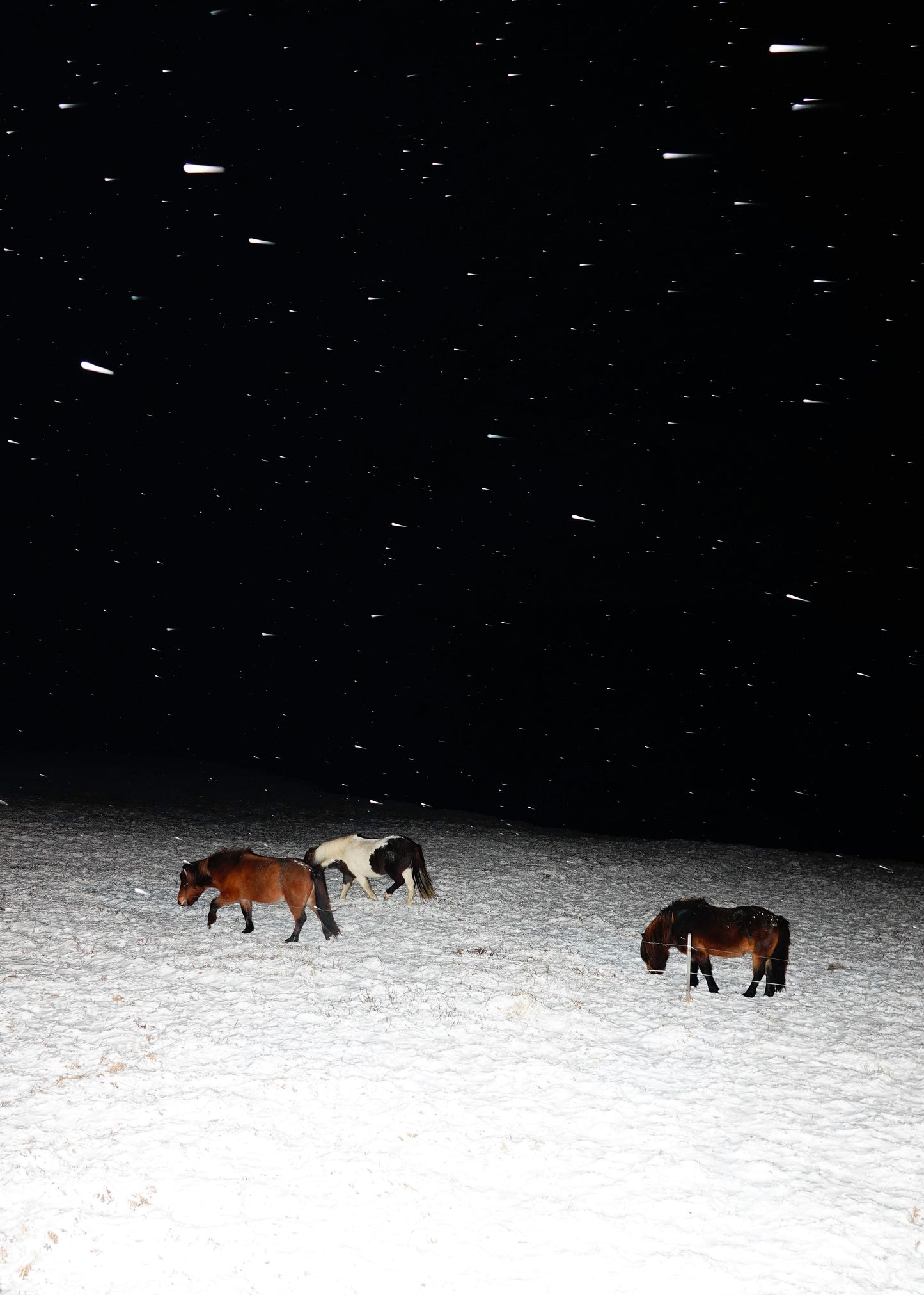 "Three Horses in a Snowstorm"