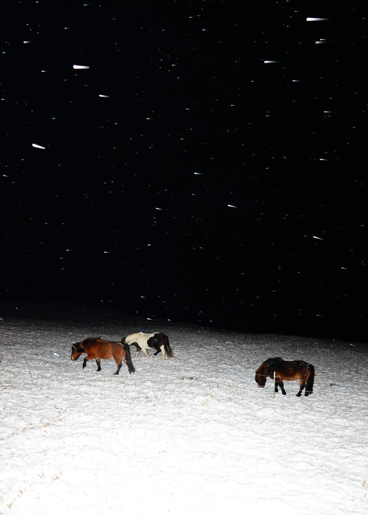 "Three Horses in a Snowstorm"